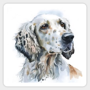 Watercolor English Setter portrait Sticker